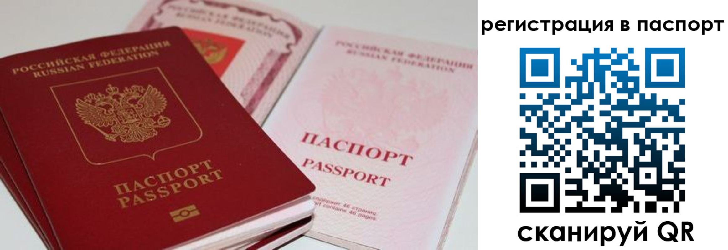 найти адрес прописки в Тайге